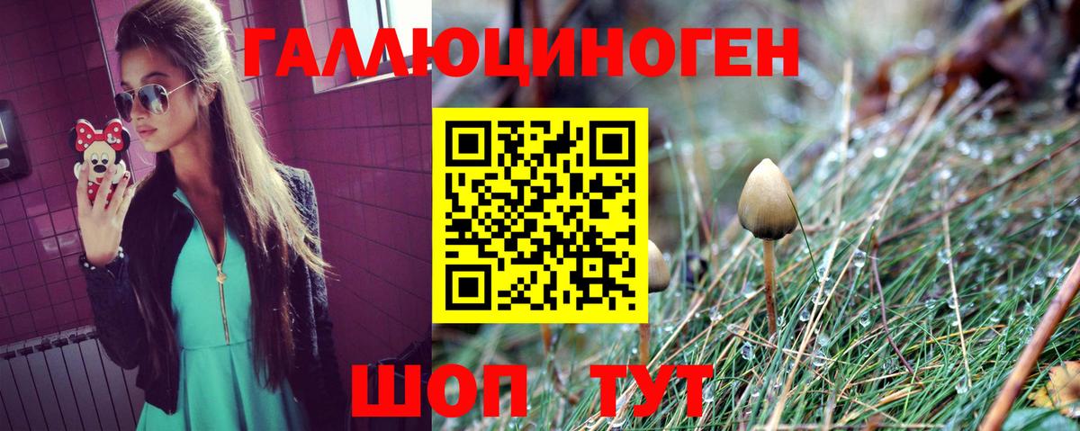 Ростов Великий  Псилоцибиновые грибы Psilocybe  Вход с VPN 
